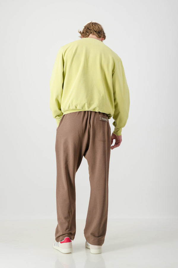 Pigment Crewneck ~ Pistachio